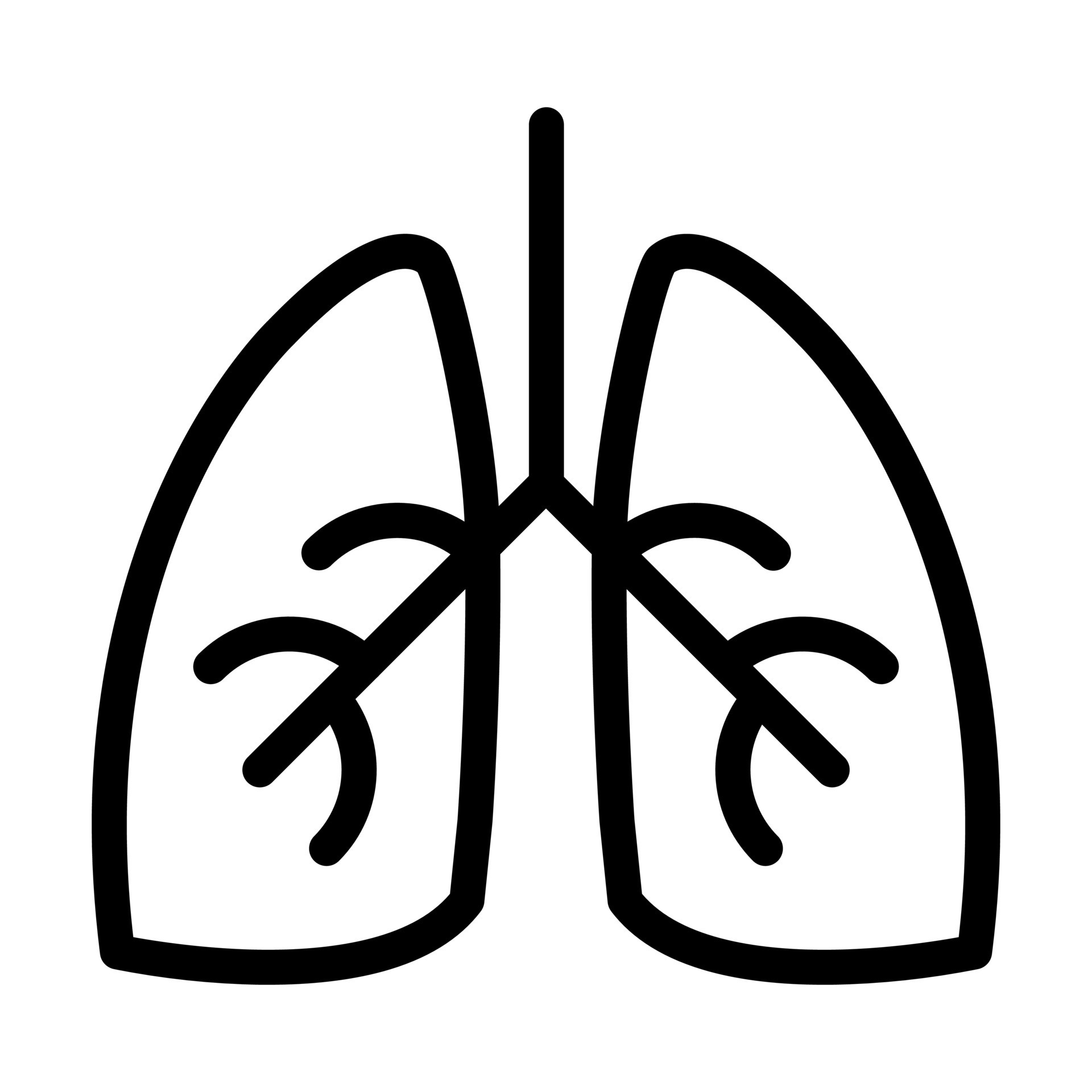 Respiratory Medicine